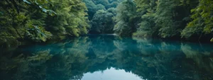 a serene lake reflecting a clear blue sky, surrounded by lush green trees, embodies the principles of psych-k in nature.