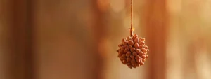 a close-up shot of a shiny, intricate nine mukhi rudraksha hanging against a soft, earthy-colored background.