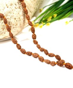 2 Mukhi Moon Mala