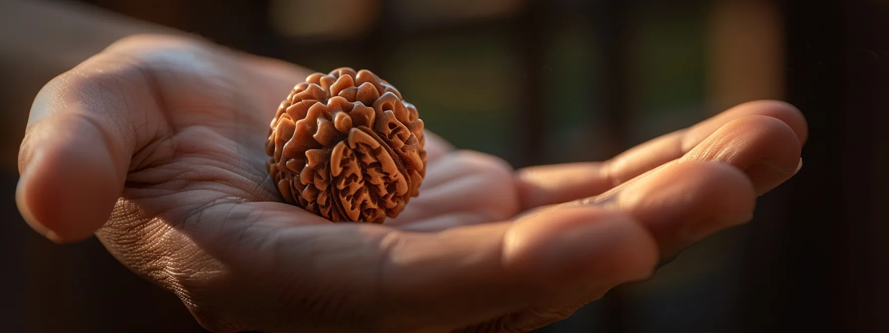 a close-up photo of a gleaming, intricately carved thirteen mukhi rudraksha bead held delicately in a palm for inspection and verification.