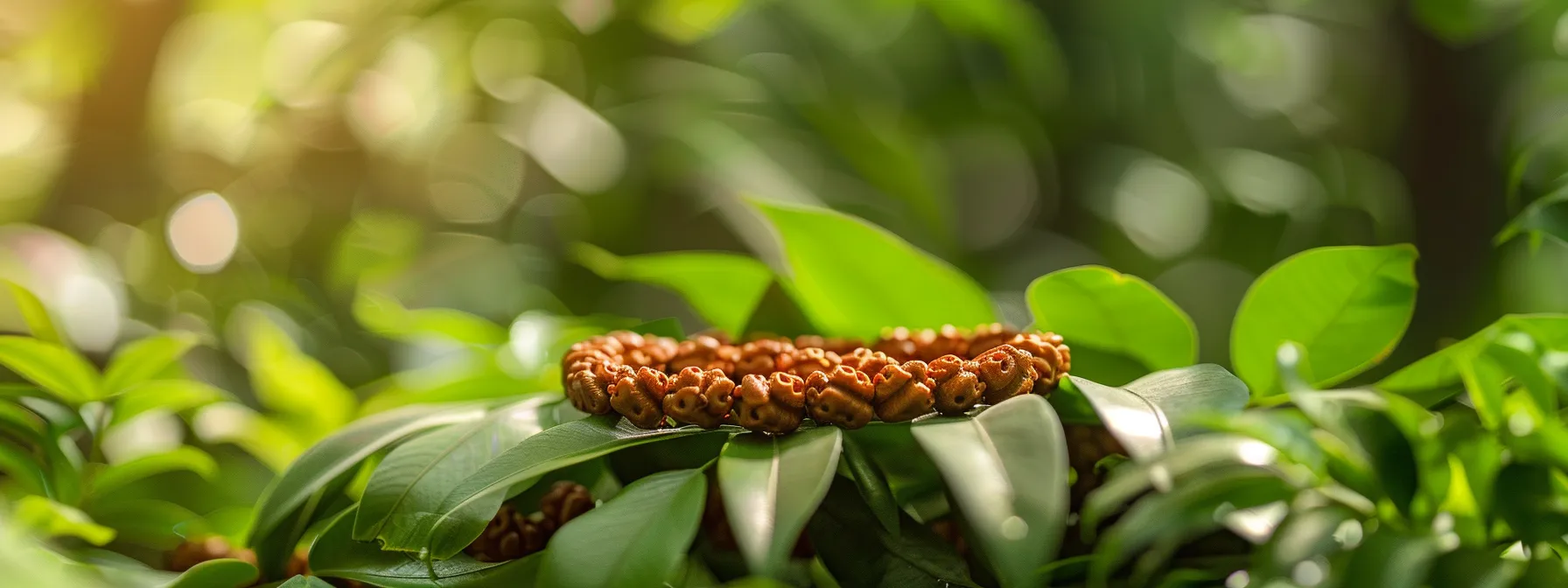 a close-up of a gleaming rudraksha bead necklace resting on a bed of vibrant green leaves, symbolizing spirituality and natural energy.